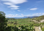Urban land for sale in Abizanda ref: TR263282 photo