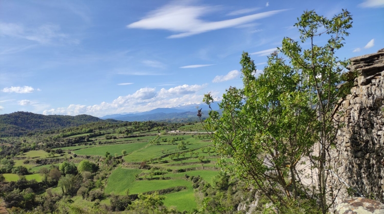 Huesca - Abizanda - 720m2