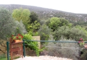 Detached villa with land for sale in Bierge ref: TR187073 photo