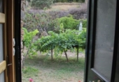 Detached villa with land for sale in Bierge ref: TR187073 photo