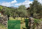 Detached villa with land for sale in Bierge ref: TR187073 photo