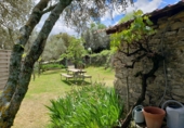 Detached villa with land for sale in Bierge ref: TR187073 photo