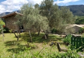 Detached villa with land for sale in Bierge ref: TR187073 photo