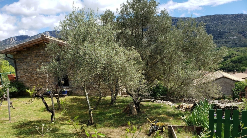 Huesca - Rodellar - 750m2