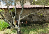 Detached villa with land for sale in Bierge ref: TR187073 photo