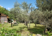 Detached villa with land for sale in Bierge ref: TR187073 photo