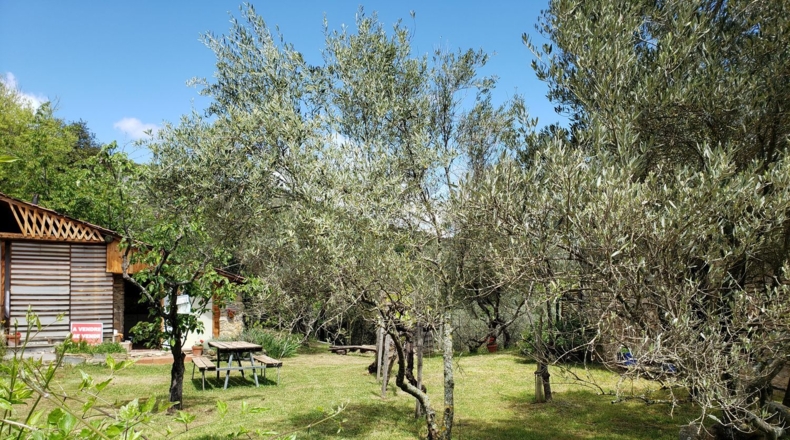 Huesca - Rodellar - 750m2