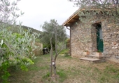 Detached villa with land for sale in Bierge ref: TR187073 photo