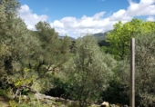 Detached villa with land for sale in Bierge ref: TR187073 photo