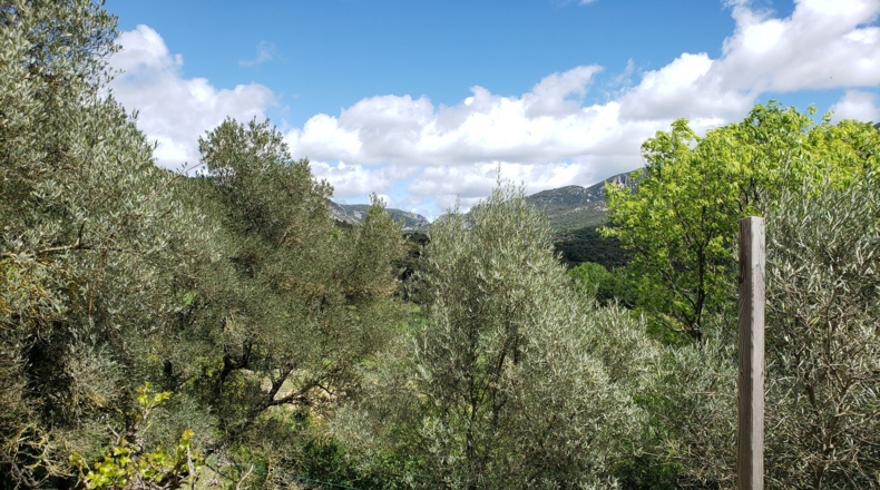 Huesca - Rodellar - 750m2