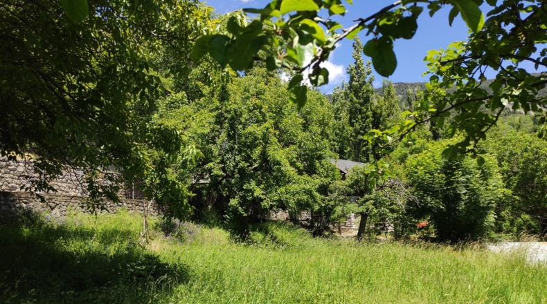 Huesca - Salinas - 890m2