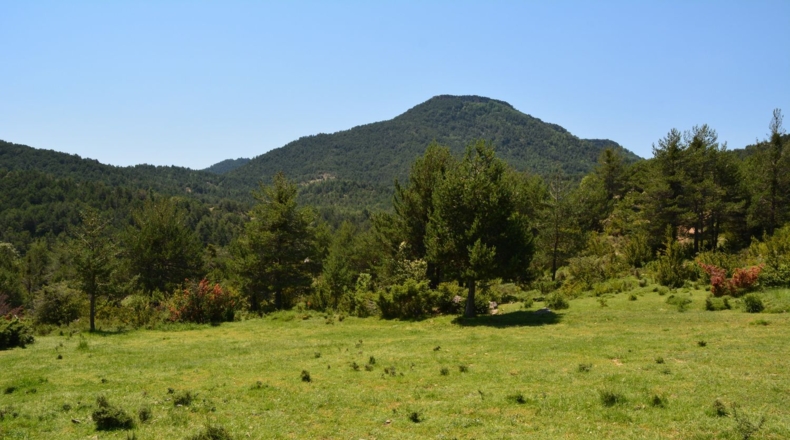 Huesca - Boltaña - 515000m2
