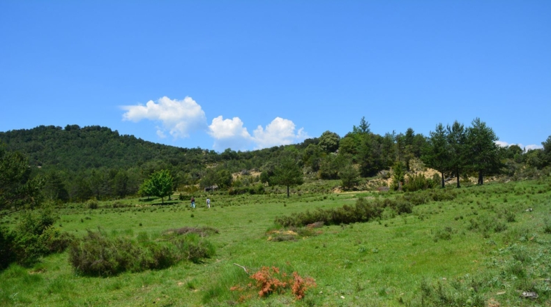 Huesca - Boltaña - 515000m2