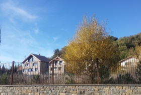 Foto 9