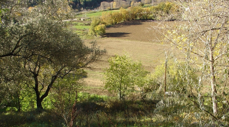 Huesca - Boltaña - 200m2