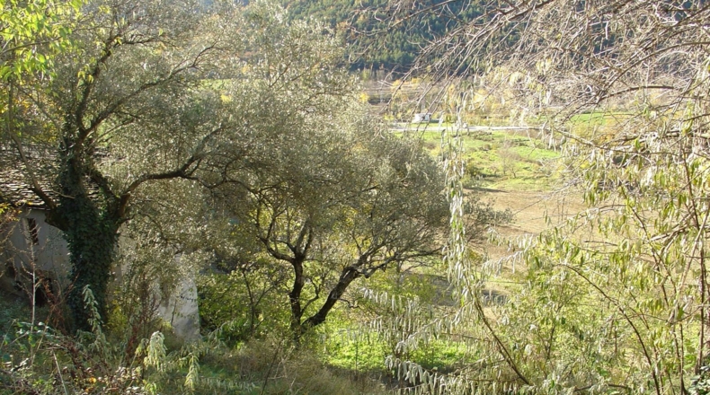 Huesca - Boltaña - 200m2