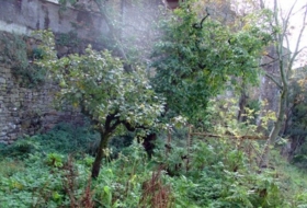 Boltaña 150&nbsp;m²