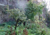 Sòl urbà en venda a Boltanya ref.: TR109387 foto