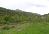 Rural estate for sale in Bárcabo ref: TR188085 photo