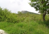 Rural estate for sale in Bárcabo ref: TR188085 photo