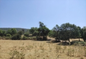 Finca rústica en venta en Aínsa ref: TR188083 foto