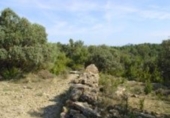Finca rústica en venta en Aínsa ref: TR188082 foto