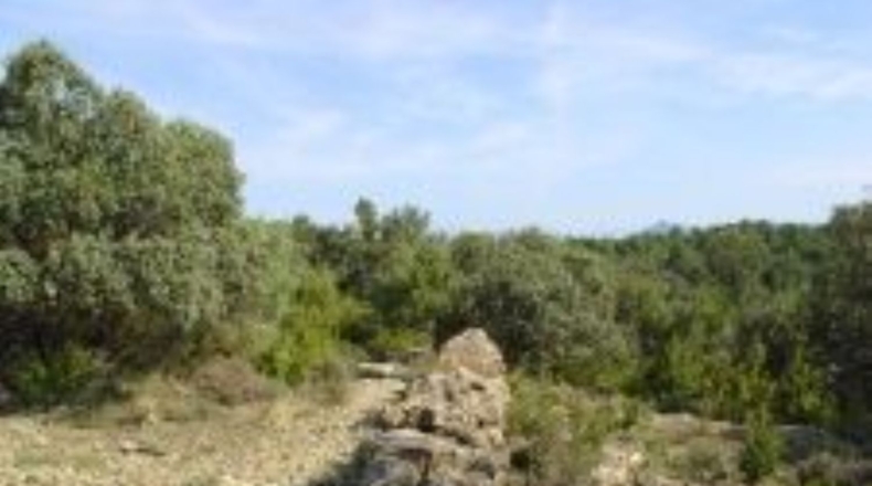 Huesca - Aínsa - 129m2