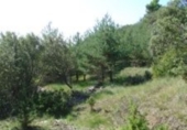 Finca rústica en venta en Aínsa ref: TR188082 foto