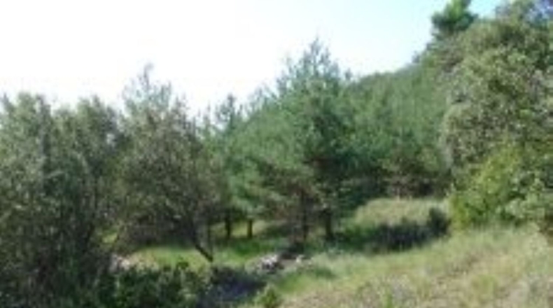 Huesca - Aínsa - 129m2