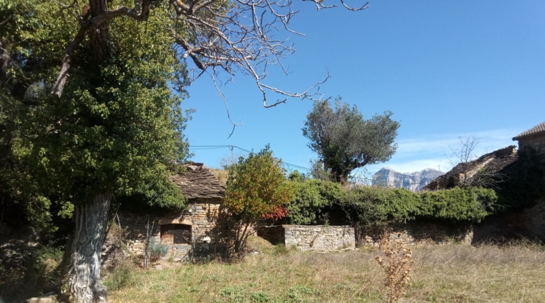 Huesca - Araguás - 600m2