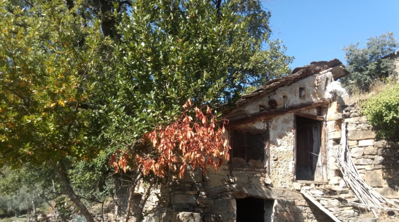 Huesca - Araguás - 600m2