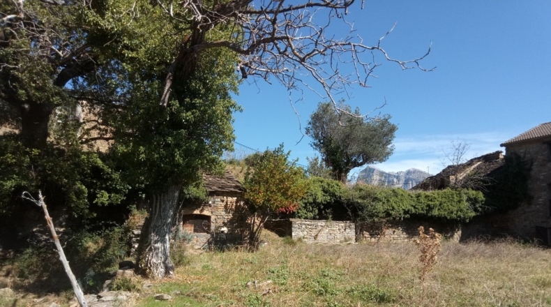 Huesca - Araguás - 600m2