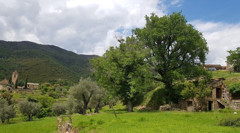 Huesca - Araguás - 600m2