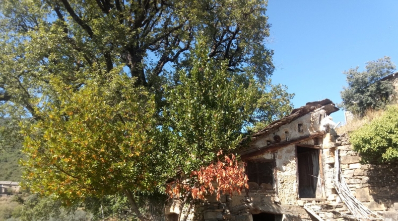 Huesca - Araguás - 600m2