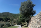 Chalet independiente con terreno en venta en Araguás ref: TR186615 foto