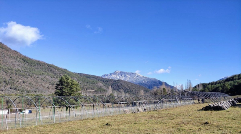 Huesca - Fiscal - 12200m2