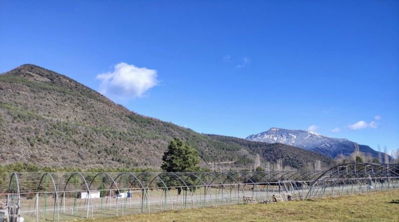 Huesca - Fiscal - 12200m2