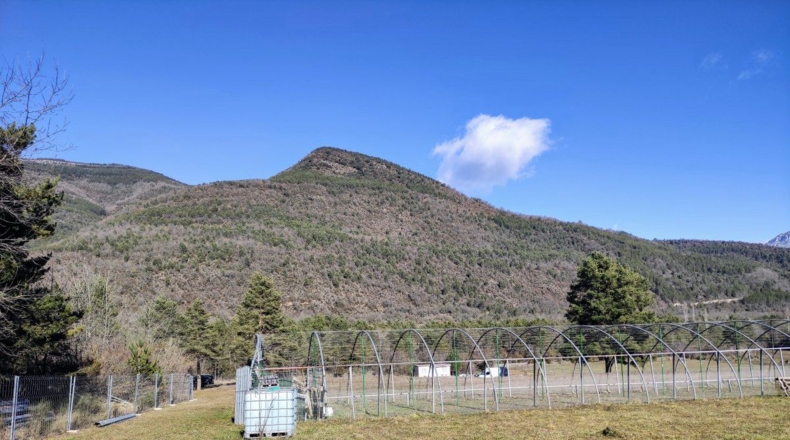 Huesca - Fiscal - 12200m2