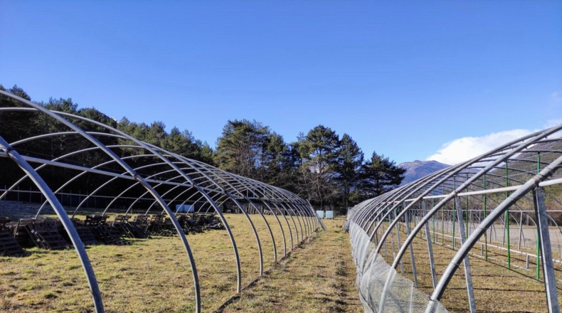 Huesca - Fiscal - 12200m2
