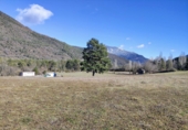 Terreno no urbanizable en venta en Fiscal ref: TR253853 foto