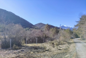 Foto 10