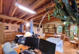 Foto 15