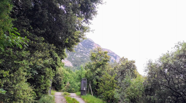 Huesca - El Pueyo de Araguás - 10000m2