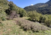 Finca rústica en venta en Tella ref: TR357222 foto