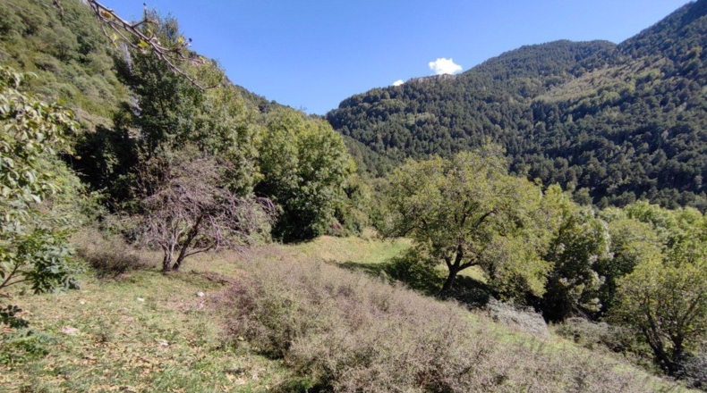 Huesca - Aínsa - 10500m2