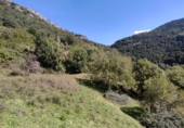 Finca rústica en venta en Tella ref: TR357222 foto