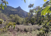 Finca rústica en venta en Tella ref: TR357222 foto