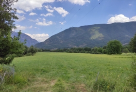Foto 13