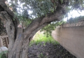 Parcel·la urbanitzable en venda a Calp ref.: TR109409 foto