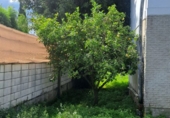 Отдельно стоящий дом с участком на продажу в городе Noja. Фото